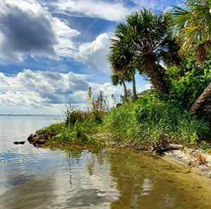 Natural shoreline helps rebuild beach
